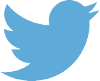Twitter logo s